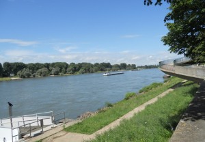 Gold im Rhein